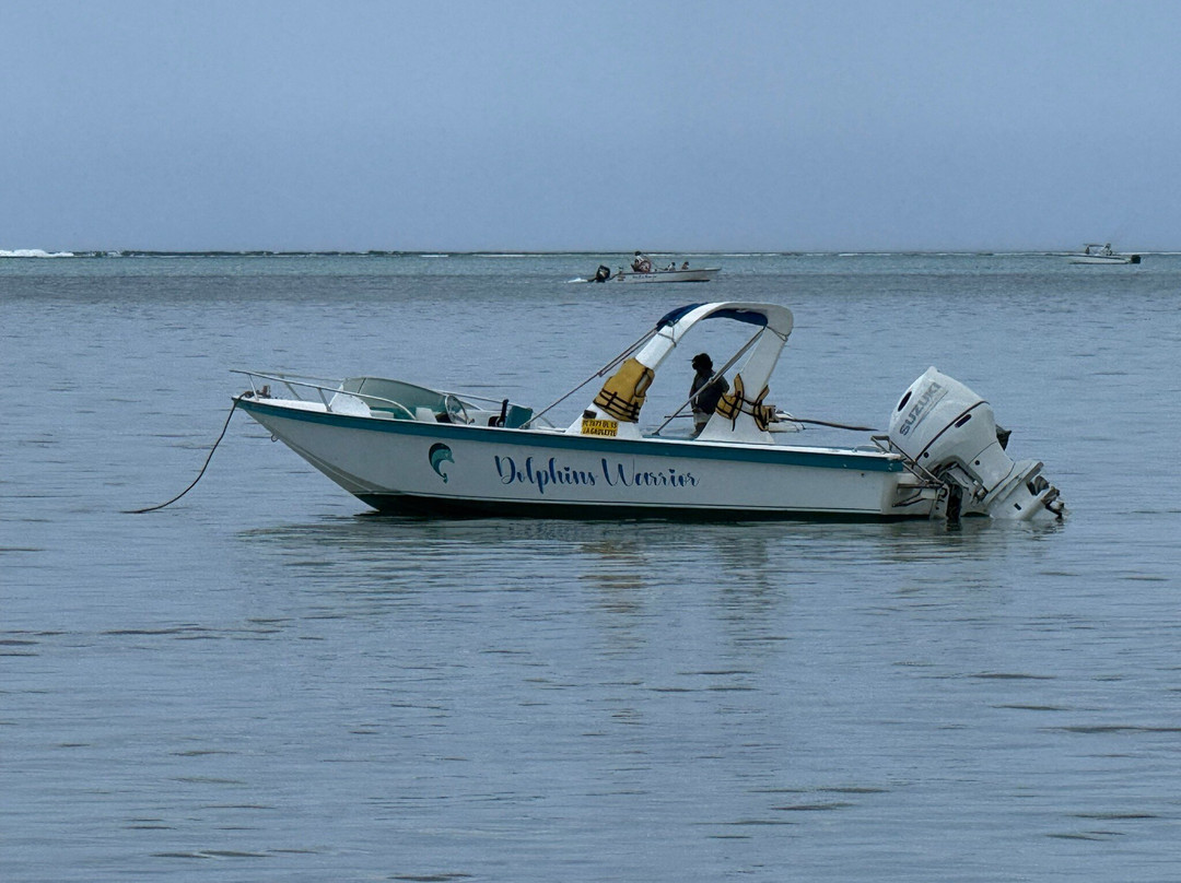 Dolphin Warrior-La Gaulette必去景点