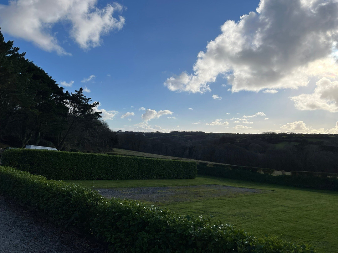 Trewidden Garden Tea Room