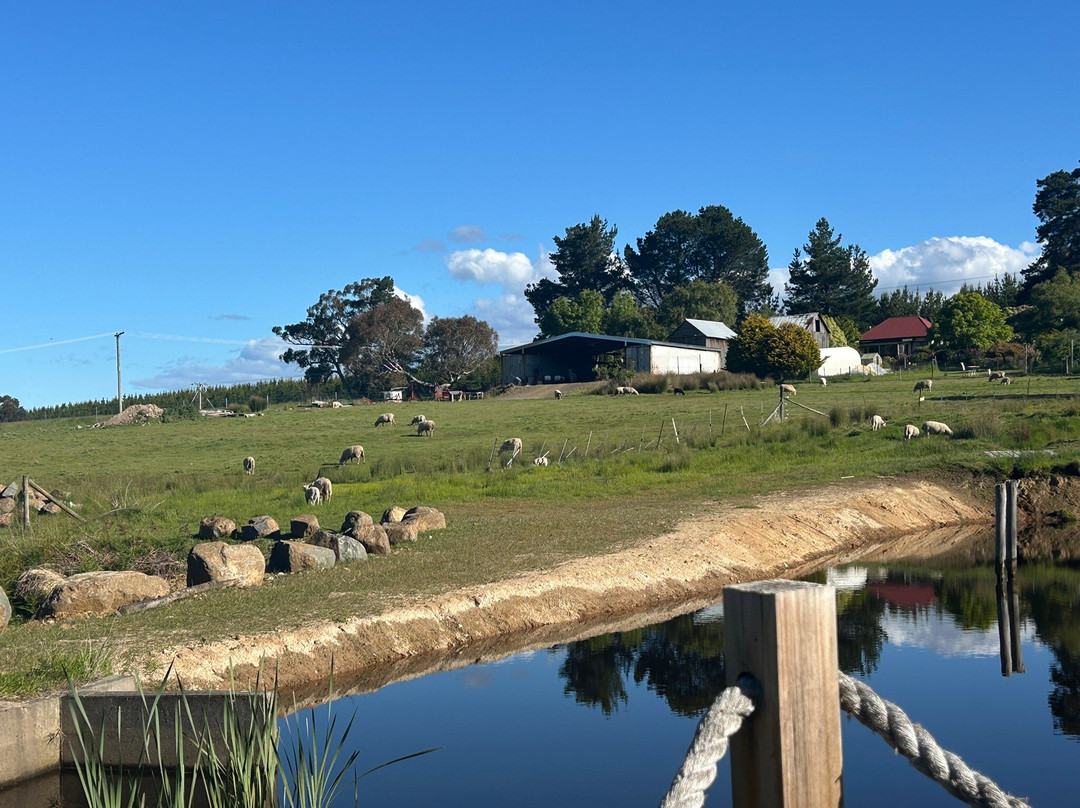 哈姆雷特丘陵地区住宿主图