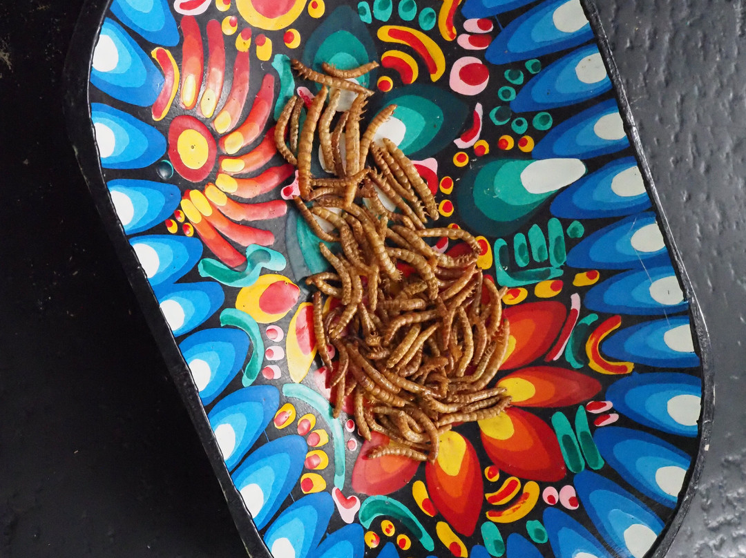 Wikiri Sapoparque-基多必去景点