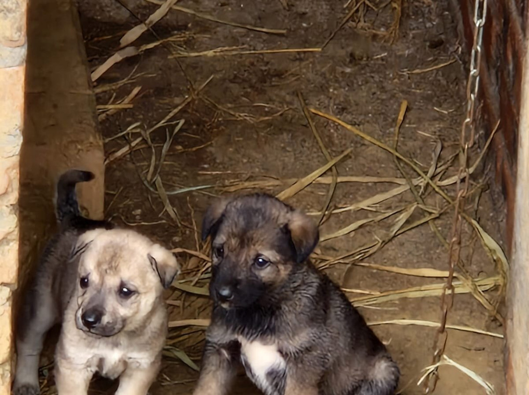 Andy Tourist-河内必去景点