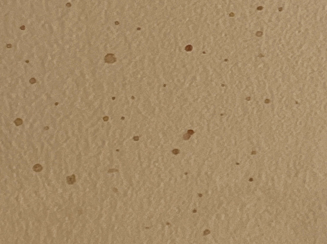 帕西波尼大使套房酒店主图