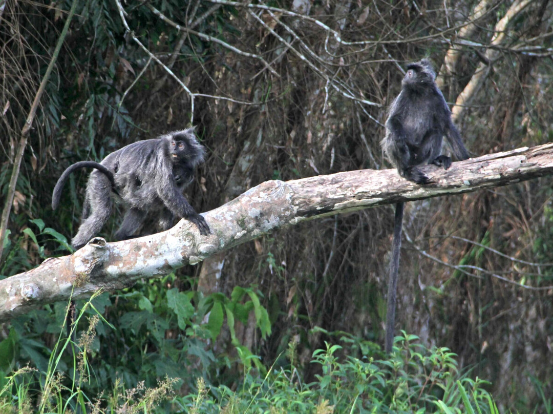 Ujung Kulon Trek-Carita必去景点