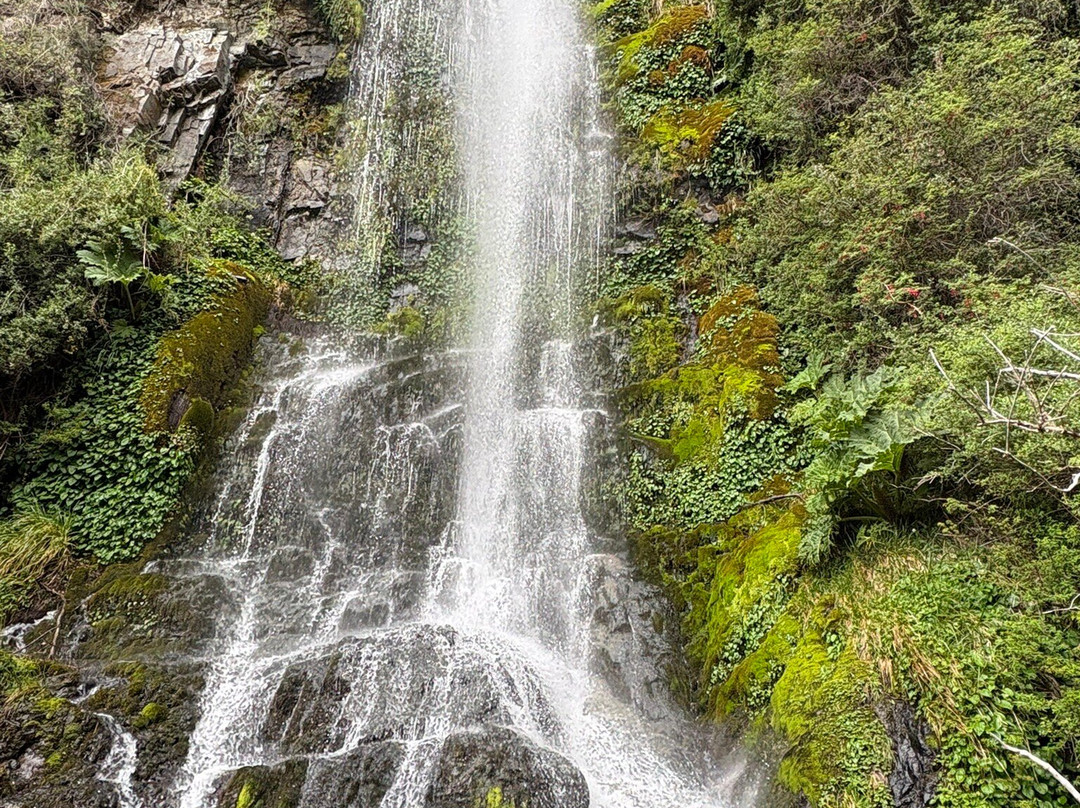 Mate Che Tour Operador-Coyhaique必去景点