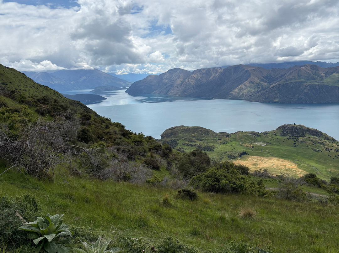 罗伊峰步行道-瓦纳卡必去景点