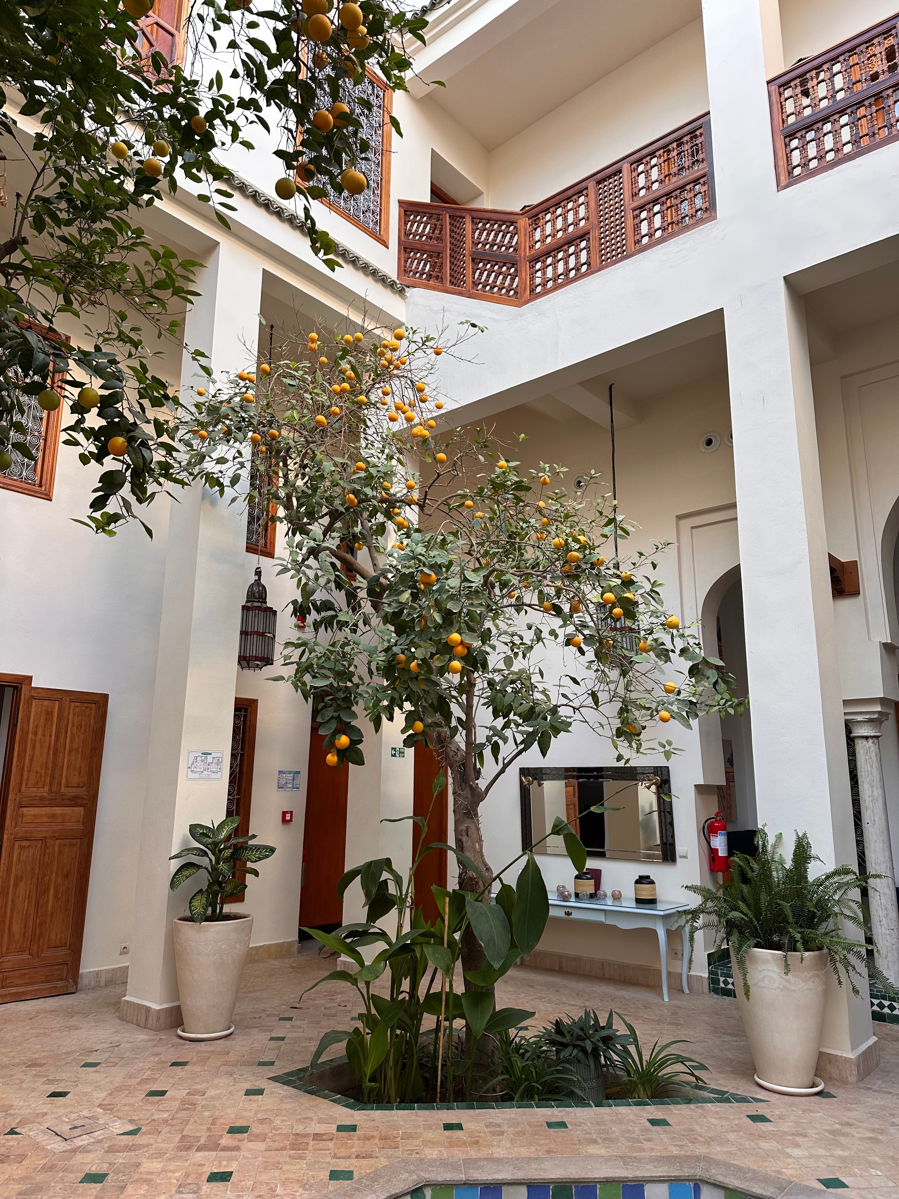 非斯摩洛哥传统庭院住宅-浴室