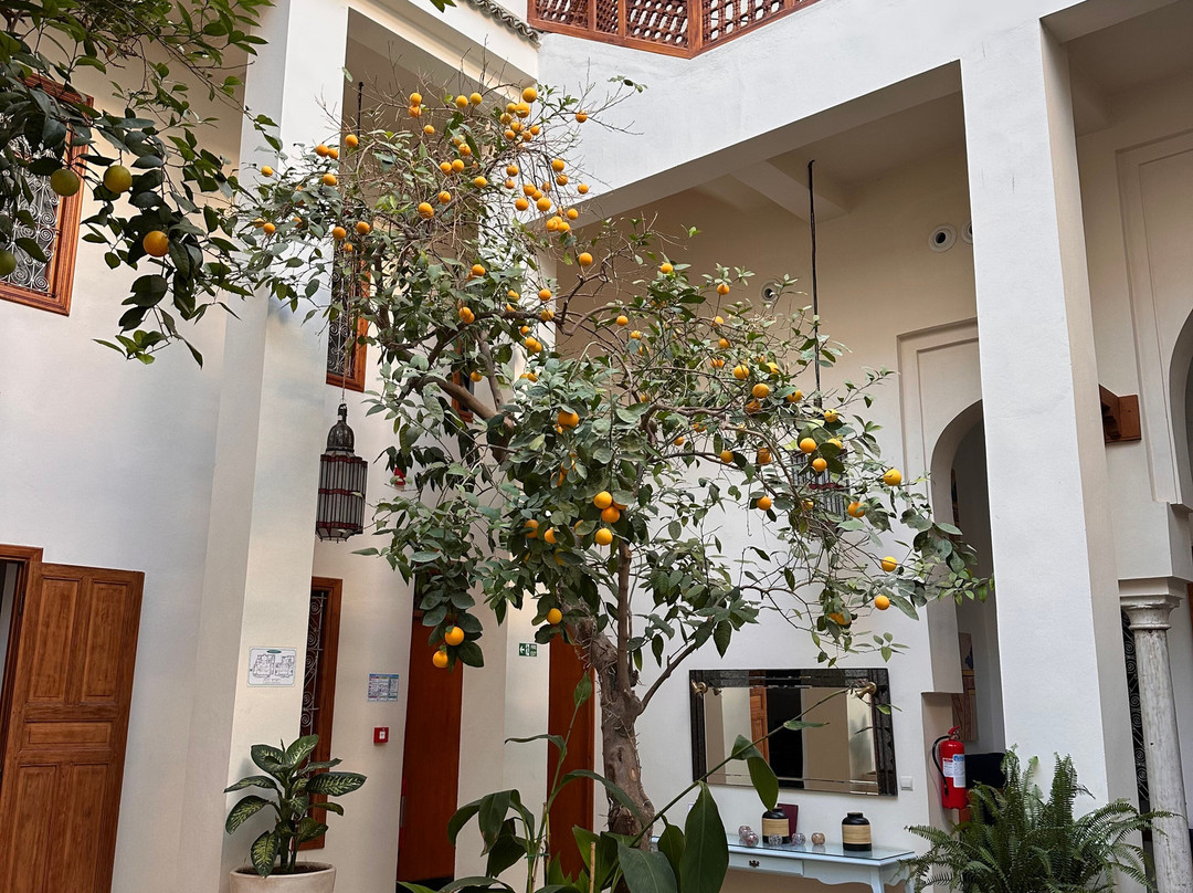 非斯摩洛哥传统庭院住宅主图