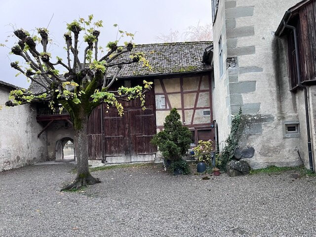 Museum Kloster Sankt Georgen-施泰因必去景点