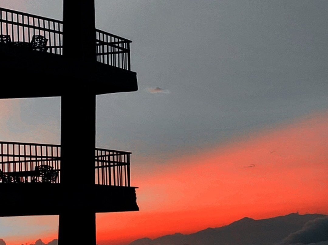 JK Clarks Exotica Dalhousie主图