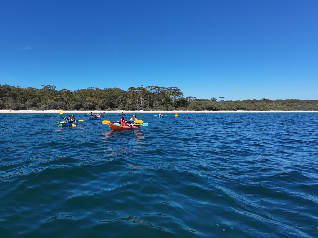 Jervis Bay Kayak & Paddlesports Co-赫斯基森必去景点