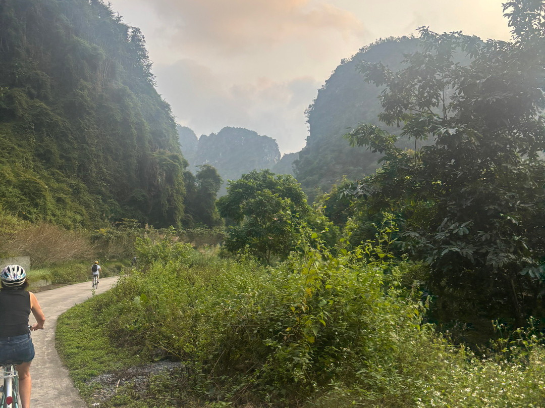 Bhaya Cruises-下龙湾必去景点