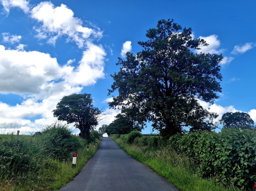 Clitheroe Castle Museum-克利夫罗必去景点
