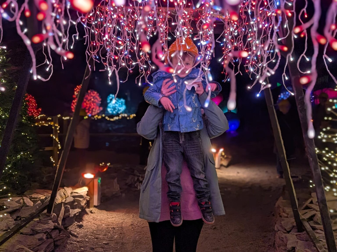 Carnglaze Caverns-利斯卡德必去景点