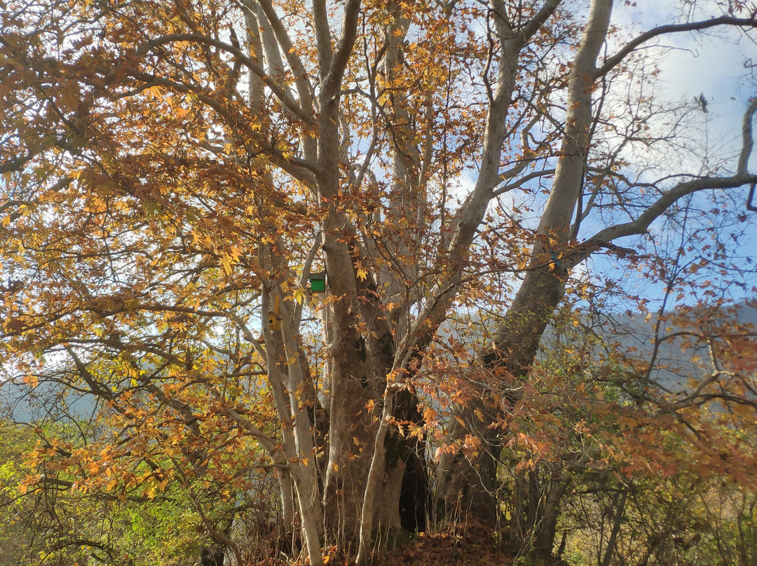 Jalut Monastery Complex-Oghuz必去景点