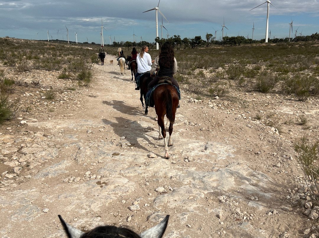 Cheval Essaouira-索维拉必去景点
