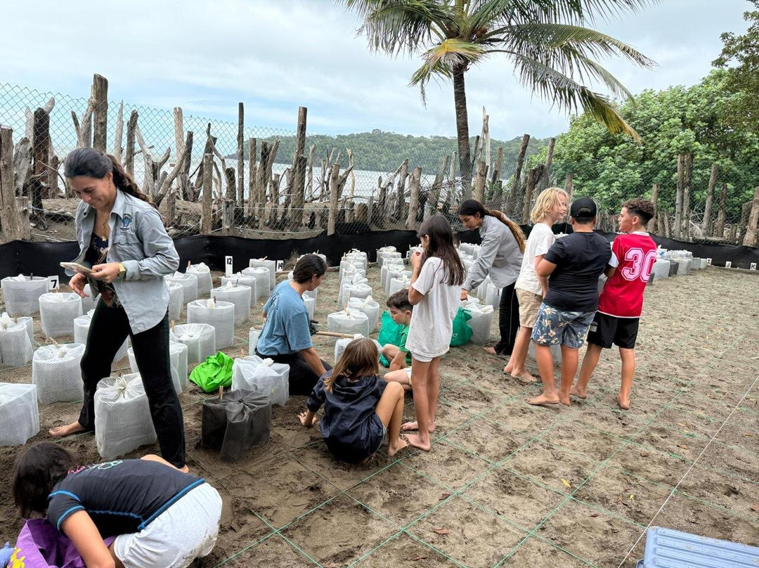 Save The Turtles Playa Venao-维纳欧海滩必去景点