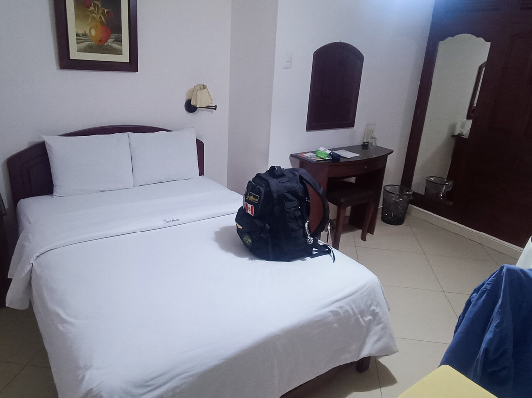 Hotel Torre Norte主图