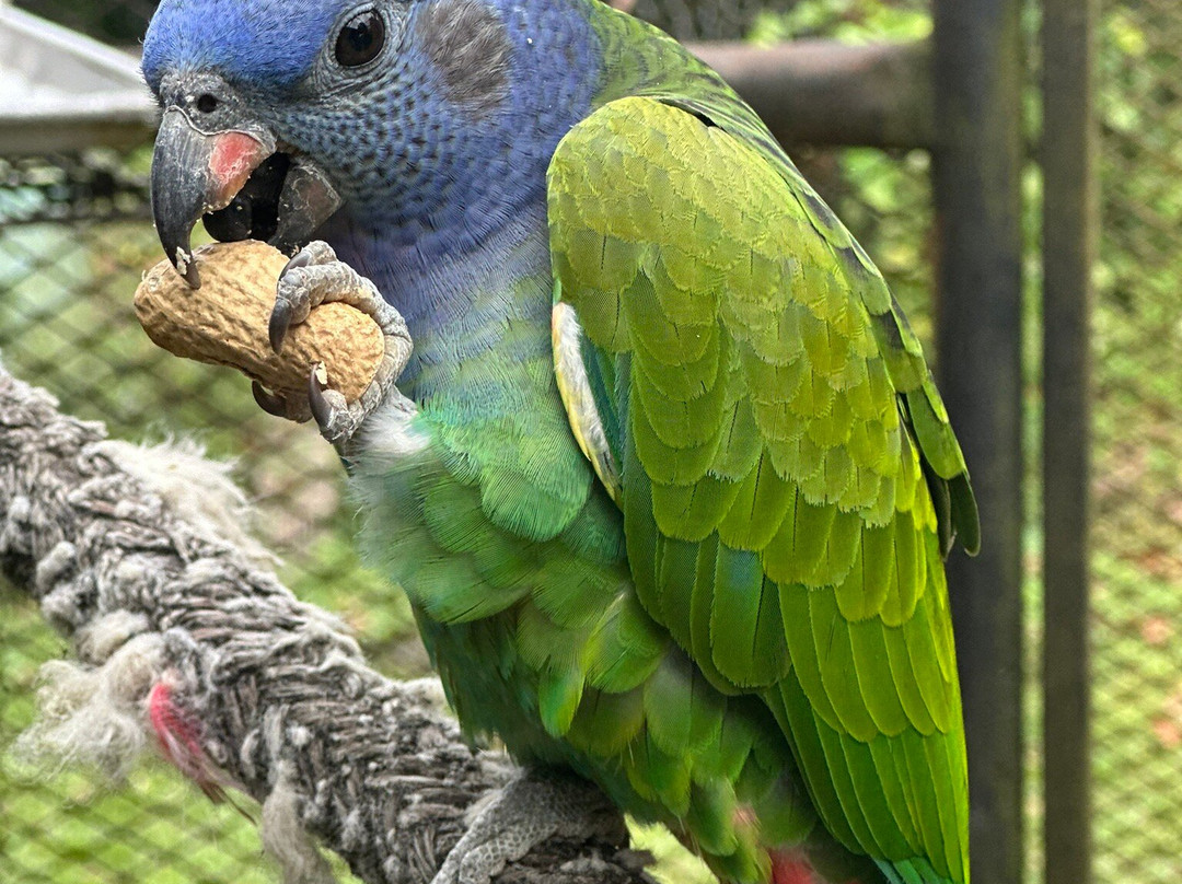 Jungla de Panama Wildlife Refuge-波魁特必去景点
