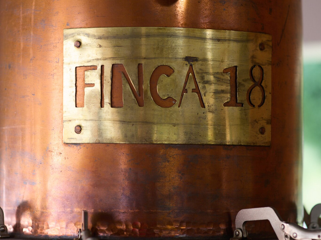 Finca 18-瓦拉塔港必去景点