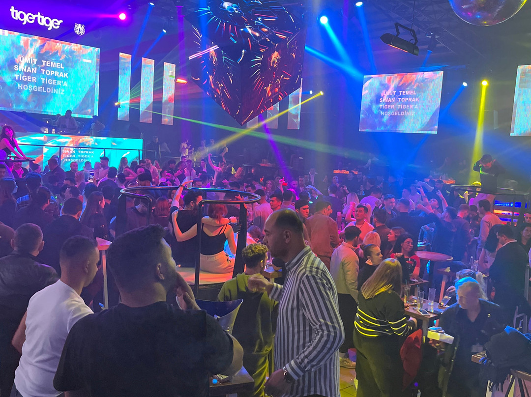 Tiger Tiger Club-马尔马里斯必去景点