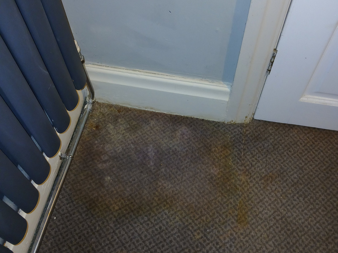 约克B+B酒店主图