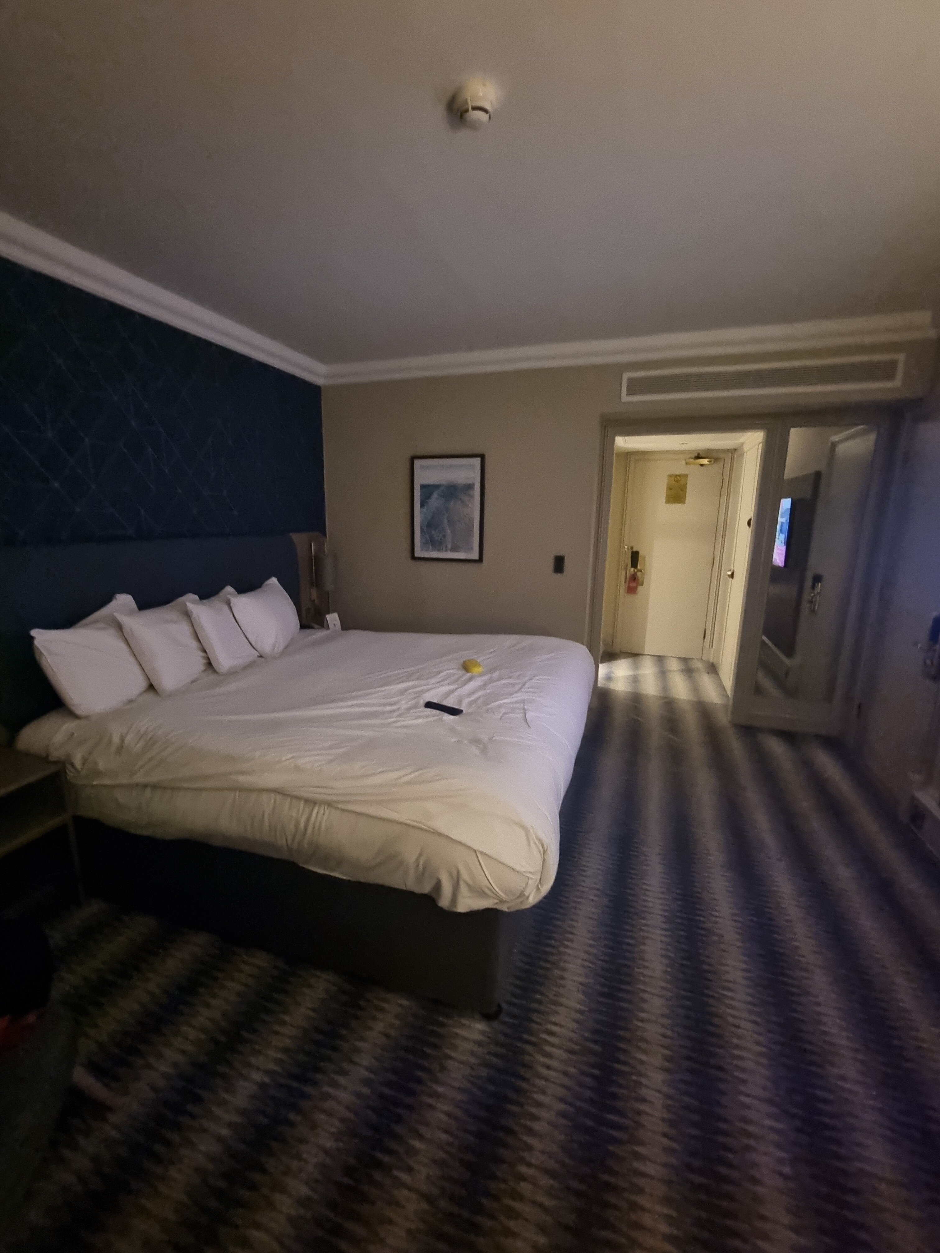 大港德维尔酒店-客卧