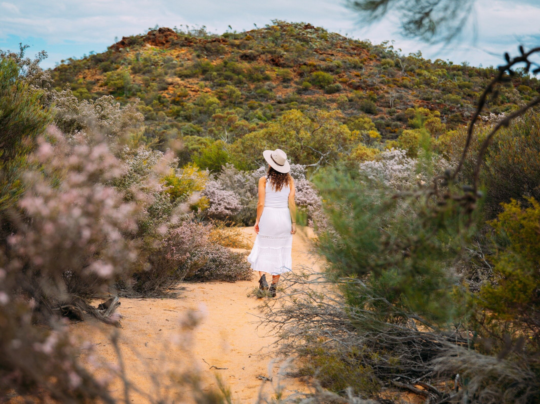 New Leaf Connect Tours | Dongara, Western Australia