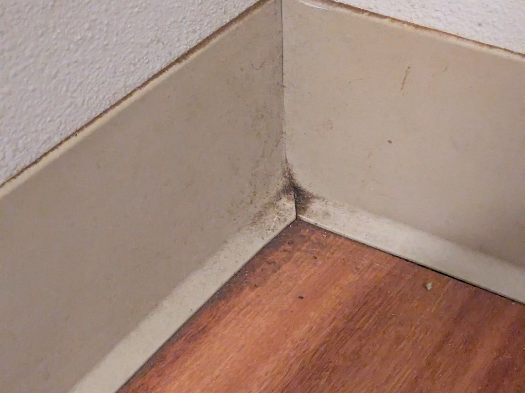 Extended Stay America Select Suites - Lubbock - South主图