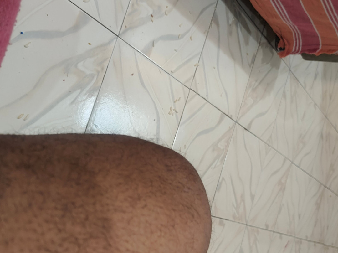 Wildlife Expeditions India-Khatia必去景点