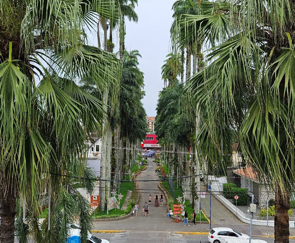 Museu Nacional de Imigração e Colonização-Joinville必去景点