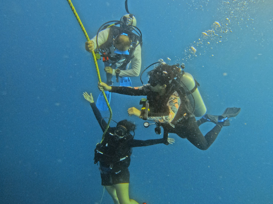 Dive Tribe-Neil Island必去景点