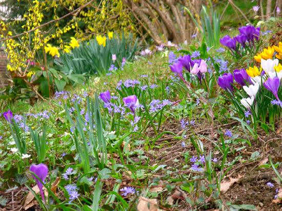 B&B Il Picchio Verde主图