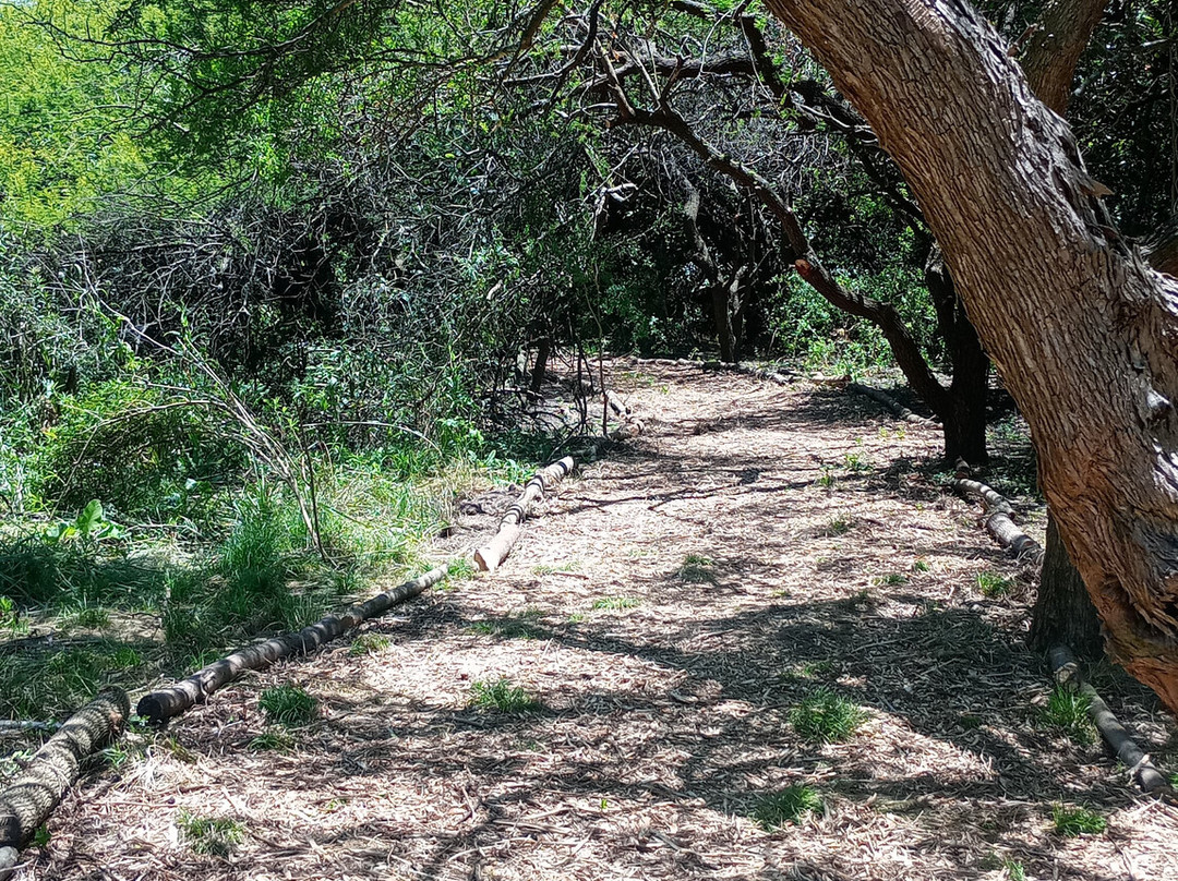 Parque Los Robles-Moreno必去景点