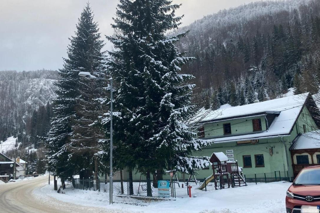 Guest House Borovica