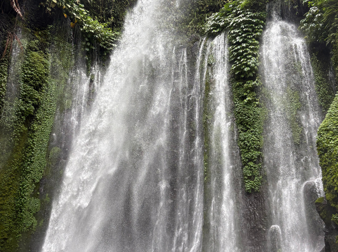 Atta's Travel-Gili Meno必去景点