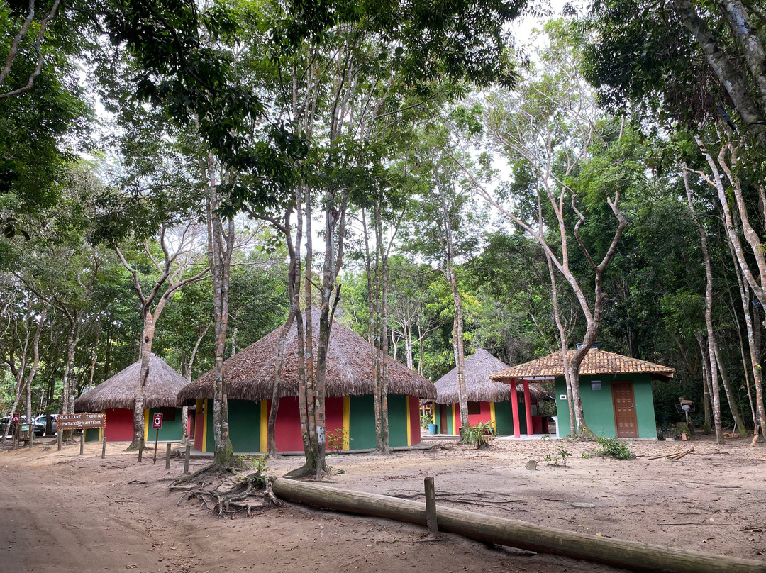 Reserva Pataxo da Jaqueira-Porto Seguro必去景点