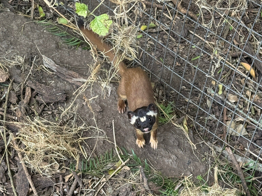 Laguna Atascosa National Wildlife Refuge-德克萨斯州墨西哥湾沿岸必去景点