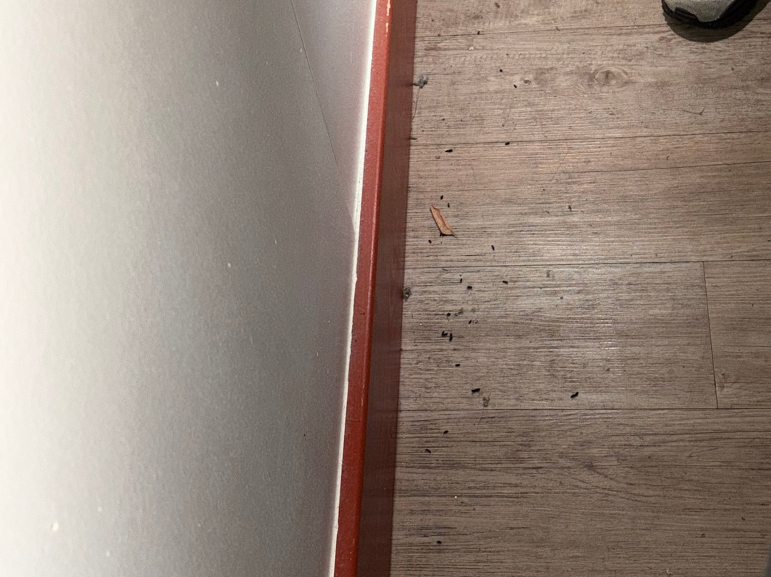 Attractie & Vakantiepark Slagharen-Slagharen必去景点