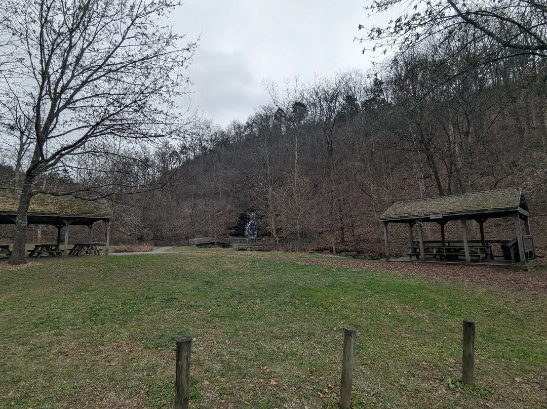 Cove Springs Park-法兰克福必去景点