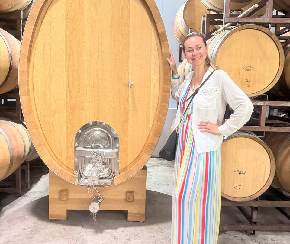 Besoain Wines-Pirque必去景点