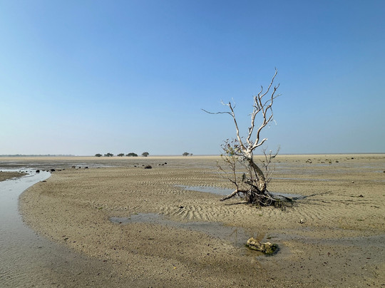 Narara Marine National Park-Devbhumi Dwarka District必去景点