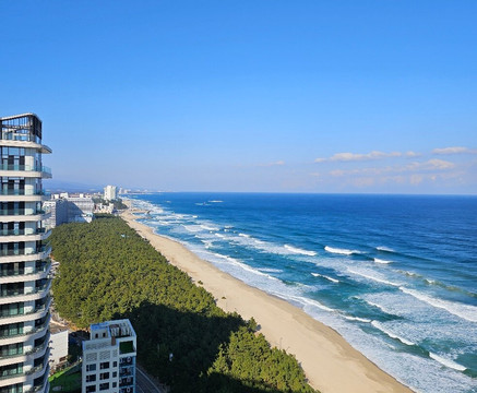 Shilla Monogram Gangneung主图