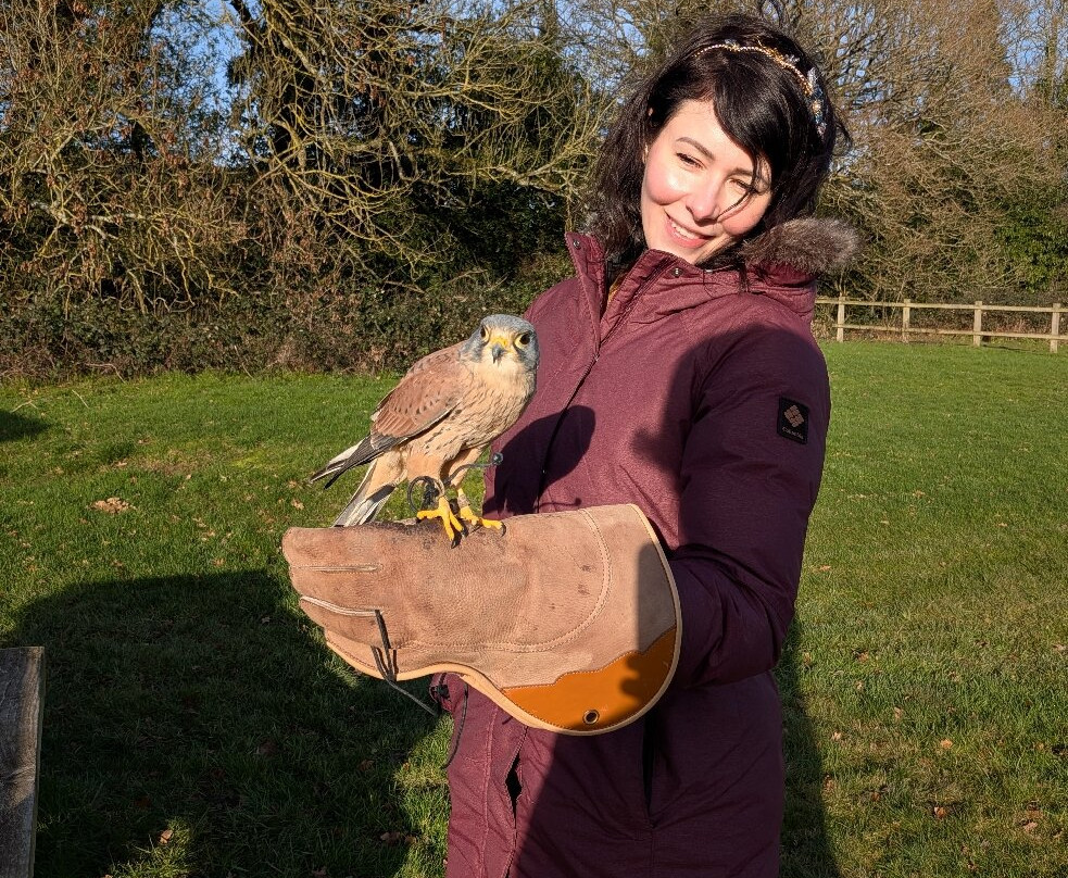 Surrey Hills Falconry-Ockley必去景点