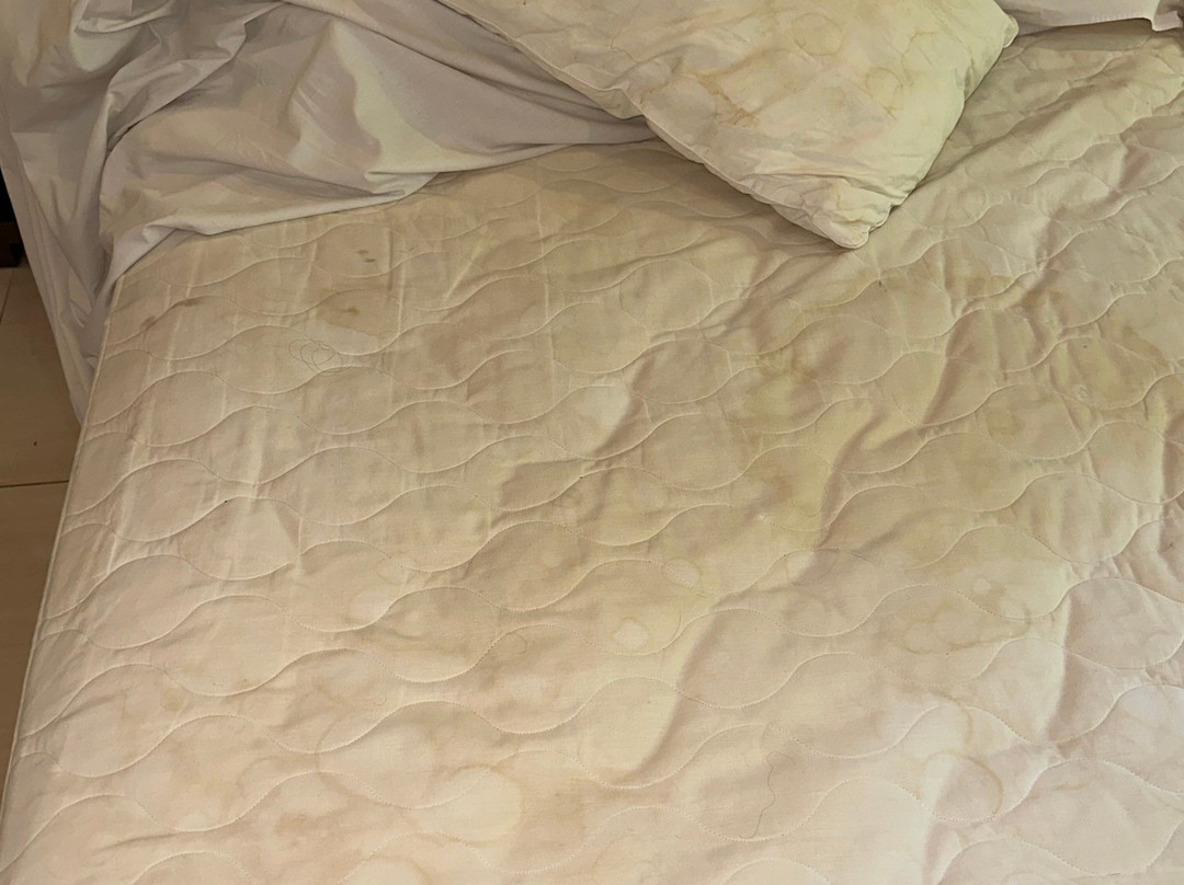 巴厘斯瓦哈酒店主图