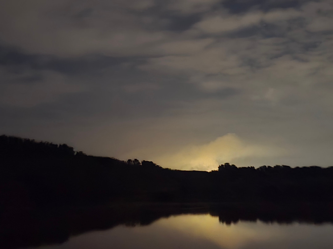 Matang Mangrove Forest Reserve-Kuala Sepetang必去景点