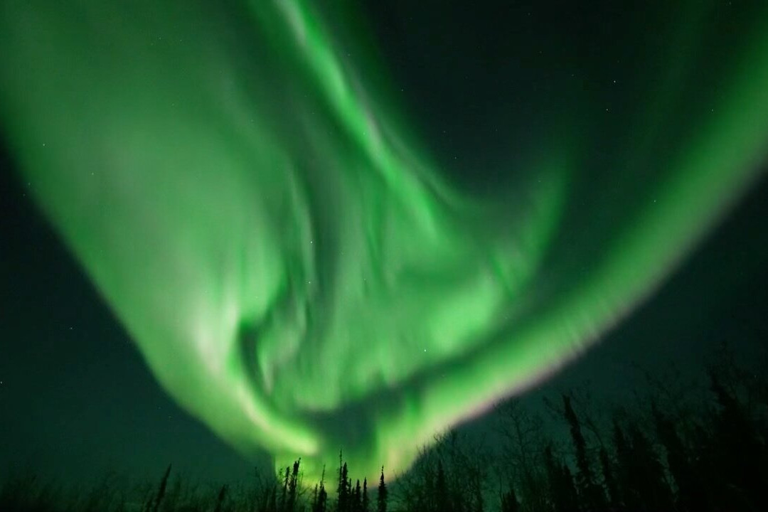 Alaska Safari Sultan Tour-费尔班克斯必去景点