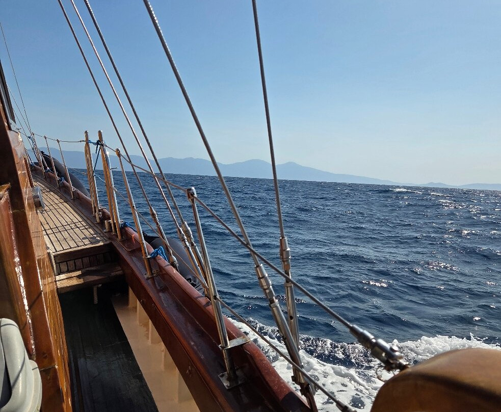 Amores 1 - Boat Tours-库萨达斯必去景点