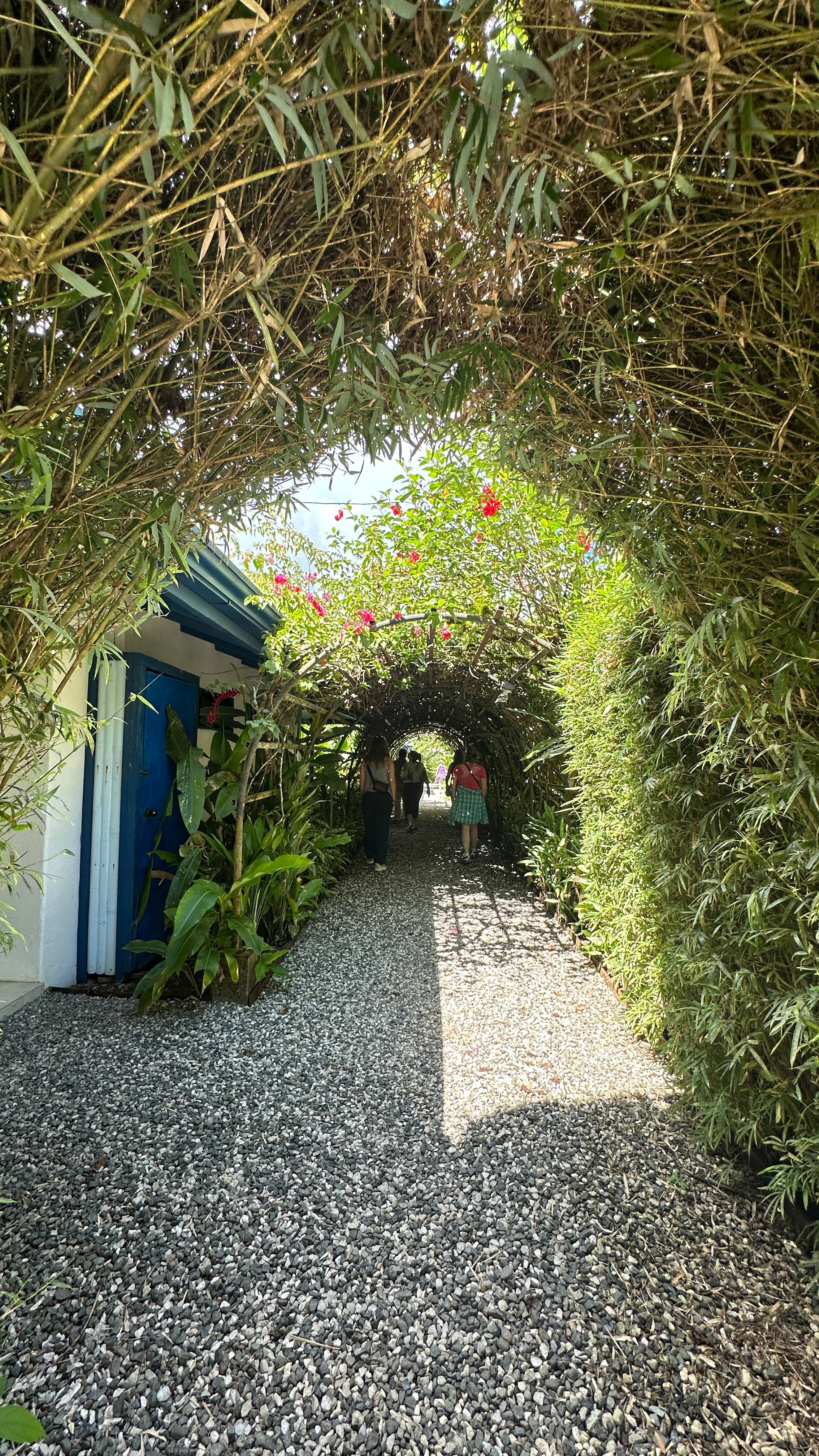 Blue Osa Yoga Retreat and Spa-官方