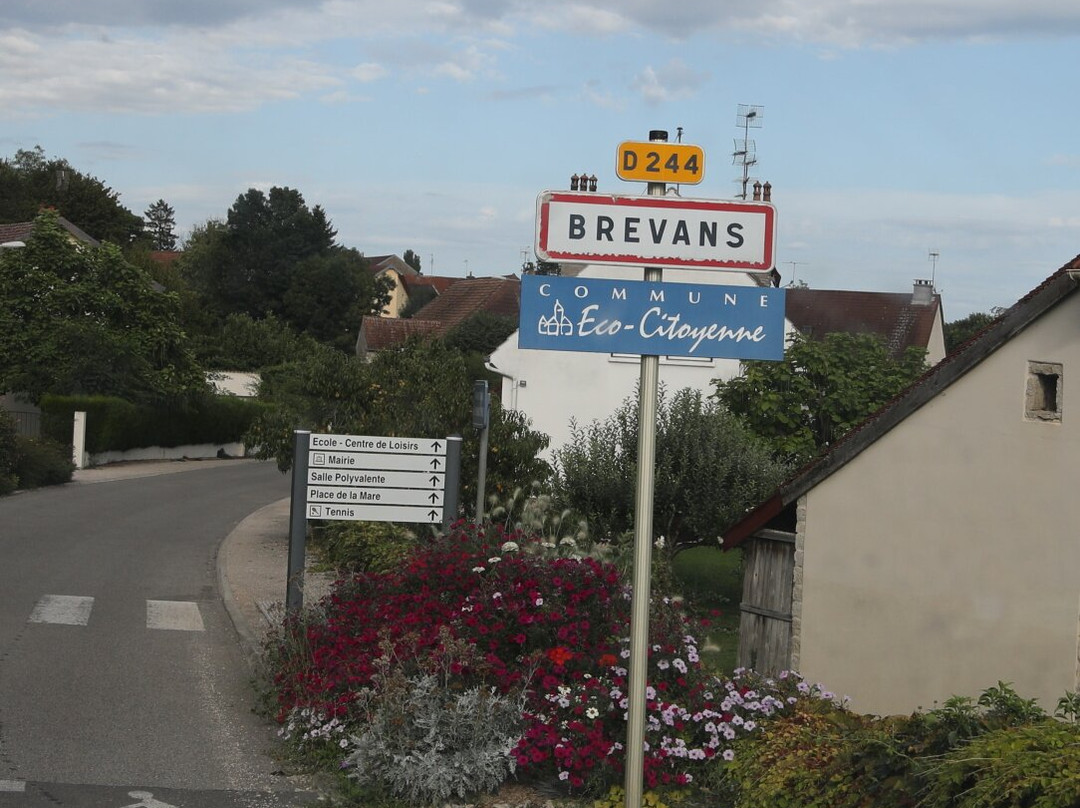 Le lavoir de Brevans et sa fontaine-Brevans必去景点
