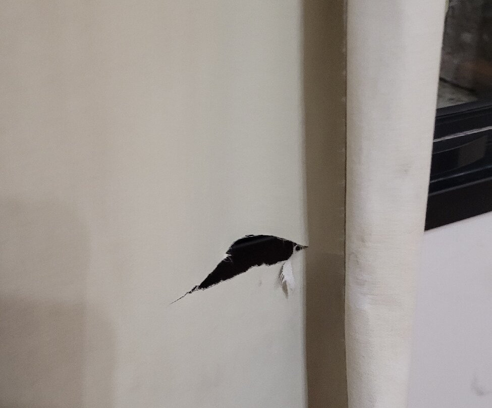 Class Hotel Varginha主图